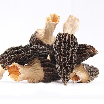 China China Factory Supply Wholesale Price Direct Fresh Dry Morchella for sale