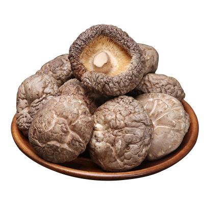 China High quality fresh dried shiitake mushroom dried food with wholesale price for sale