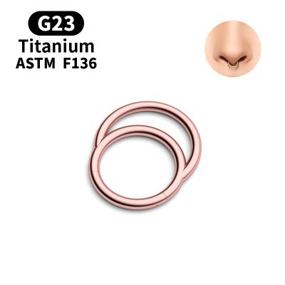 China ASTM F136 Grade23 Elegant Fashionable Titanium Perforated Nose Ring Body Jewelry for sale