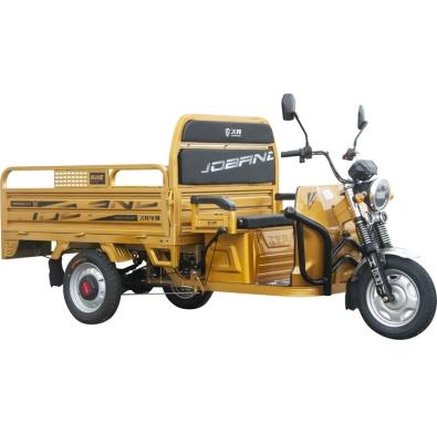 China Promotional Quality 60v 1000w 3 Wheel Motorcycle Adults Electric Cargo Tricycle For Cargo for sale