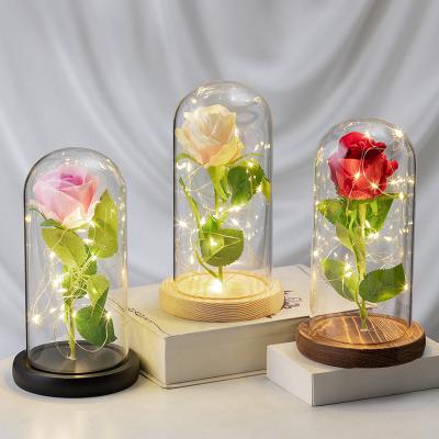 China China High Quality Eternal Life Flower Dome Glass Cover For Christmas Decoration for sale