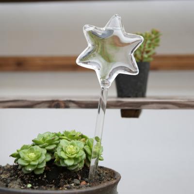 China Hot Selling Irrigation System Water-saving Garden Glass Star Shape Watering Device Watering Bulbs for sale