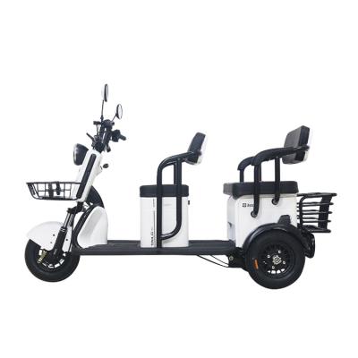 China Other Tailg Factory Direct Sales Adults Electric Rickshaw Passenger Tricycle for sale