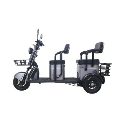 China Other Tailg Factory Price Cheap 3 Wheel Adult Electric Tricycle With Basket for sale