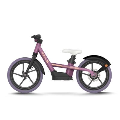 China Aluminum Alloy Tailg Inch 12 Fat 16 Kids Ages 8-12 Kids Mini Scooter Electric Motorcycle For Dirt Bikes for sale