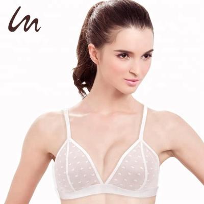 China New Design Ladies Antibacterial Sexy Bra Underwear Bralette Bra for sale