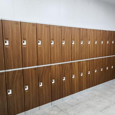 China ABS Plastic 2 Tier Color ABS Wooden Locker with Gym School Hospital School RIFD Lock Storage Plastic Price for sale