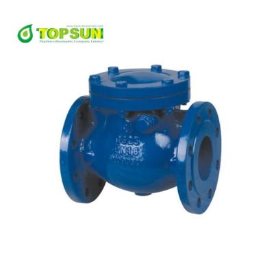 China ANSI 125 150 Ductile Iron Epoxy Swing Type General Check Valve for sale