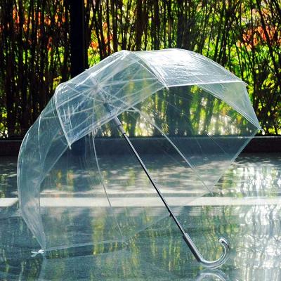 China Minimalist Good Quality PVC Dome Clear Transparent Umbrella for sale