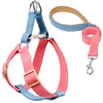 China INS Dog Rainbow Leash Chest Strap DETACHED Dog Harness and Leash for sale