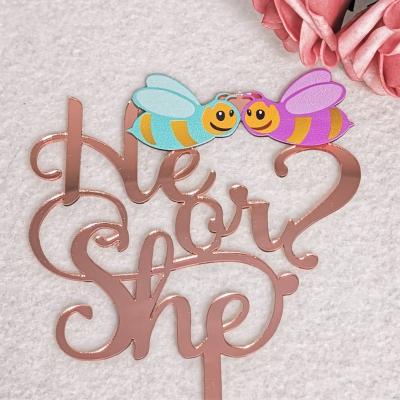 China 1.6mm Acrylic Thickness Him or Her Bee Printing Happy Birthday Acrylic Cake Topper for sale