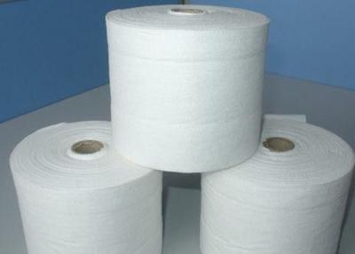 China 100% Polyester Spunbond Non Woven Rolls 9-200gsm 320cm Max Width for sale