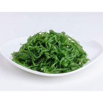 China High Quality Fresh Salty Ogonori Fresh Supply for sale