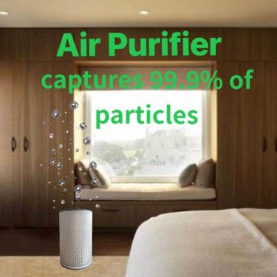 China Humidify Wholesale Professional Home Use Air Purifier Air Purifier Filter HEPA H13 Desktop Air Purifier for sale