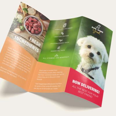 China Hot Sale Custom Price Cheap Shipping Dog Food Brochure User Manual Printing Instruction Book for sale