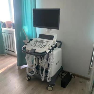 China Heart Type Metal High Quality Digital Echo RUIHUA DU8-M9 Ultrasound Machine Trolley Medical Ultrasound Products for sale