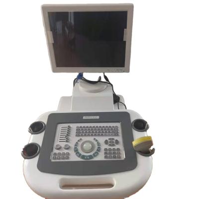 China RH-300C B/W Full Acrylic Digital Ultrasound Scanner System for sale