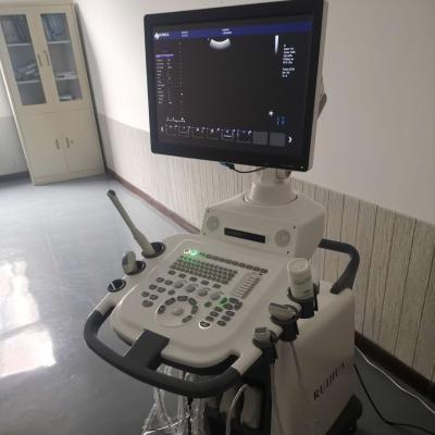 China Trolley Color USG Machine Ultrasound Medical Instruments To Metal Maker DU8-M5 RUIHUA for sale