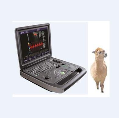 China Ultrasound Doppler DU8-M1V Cheap Factory Price Animal Color Doppler Ultrasound Machine Portable Laptop for Veterinarian for sale