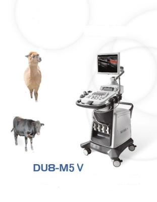 China Rectal Doppler Ultrasound Ruihua Brand Color Doppler Ultrasound Echo Machine Veterinary Convex Body for sale