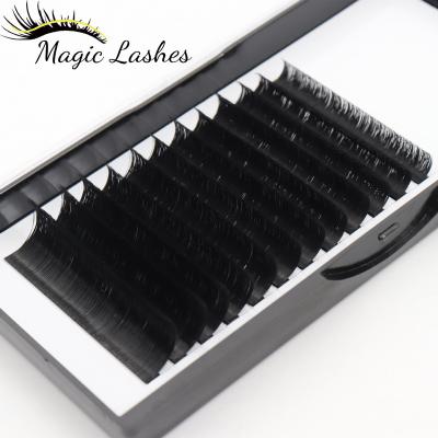 China Professional Clean Long Natural Mink Korean Silk OEM Wholesale Supplies Different Brand Eyelash Extension Luxury Black Premium Natural Lashes for sale