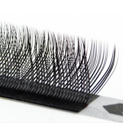 China J B Lash Extension Private Label Eyelashes Curl Mink Korean Custom Synthetic Eyelash Extension C D L OEM Customized for sale