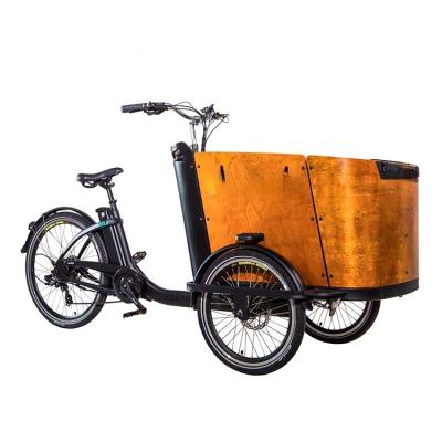 China China steel cheap putch cargo bike 3 wheels electric cargobike frame aluminum cargo bike frame etrike for sale