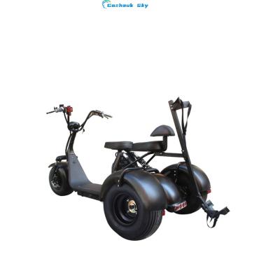 China APP new golf/waterproof IPX4 fat design electric scooter tires dual suspension 2000W motor electric golf scooter for sale