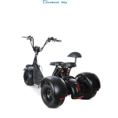 China APP/waterproof IPX4 30 Miles Motor 2000w BrushlessThree Wheeler Scooter Can be used for all sand snow commutes for sale