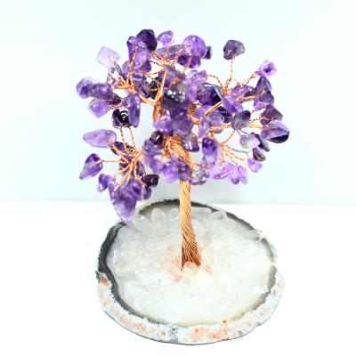 China Europe Whosale High Quality Natural Money Tree For Christmas Decoration Supplies Or Gift for sale