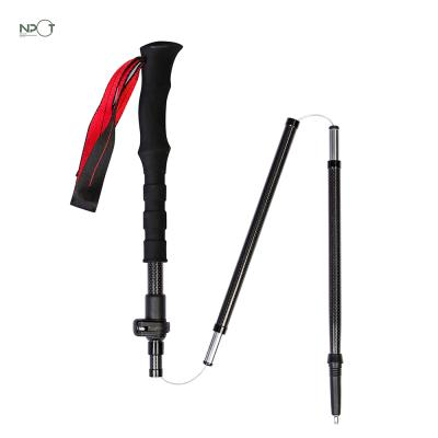 China EVA and CORK Grip NPOT Custom Walking With Trekking Sticks Kids Sticks Hill Climb Walking Poles for sale