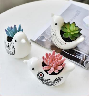 China European Fleshy White Ethnic Style Flowerpot Bird Style Amazon Ceramic Flowerpot Potted Modern Porcelain Fleshy for sale