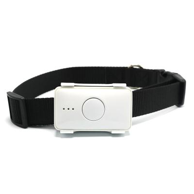 China Pet Navigation Device Personal Waterproof Pet Gps Mini White Tracking Smart Tracker for sale