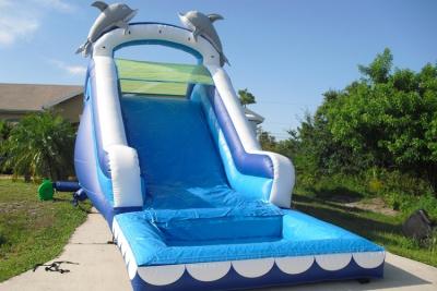 China Juegue los toboganes acuáticos inflables para los niños/el tobogán acuático inflable de la piscina del delfín en venta