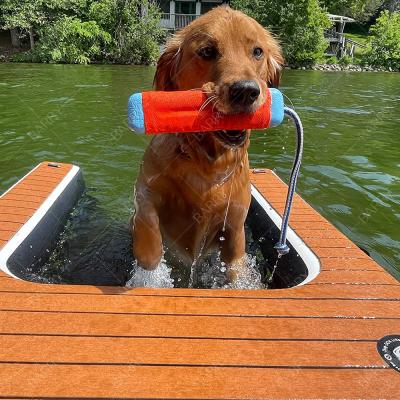 Cina Cani giochi d'acqua gonfiabile cucciolo pianta rampa per cani rampa per animali pianta pianta pianta piattaforma galleggiante in vendita rampa gonfiabile per cani in vendita