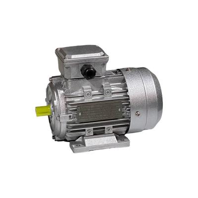 China Manufacture 0.25KW energy saving goods and and environmental protection wholesale price 3 phase 220V synchronous vehicle electric AC motors for sale