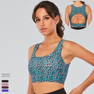 China Leopard Print Breathable Gym Vests Luckpanther Women Gym Wear Private Label Running Top Plus Size Sports Bra for sale