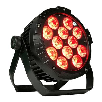 China LANDSCAPE 12pcs 10w Die Cast IP65 12*10w DMX Aluminum Outdoor Wash Par Can Waterproof RGBW 4in1 12x10w Flat LED Par Light For Landscape for sale