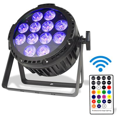 China Outdoor Waterproof LANDSCAPE 12pcs 10w IP65 Wash Par Can Wireless 12*10w DMX RGBW 4in1 12x10w Battery Power LED Par Flat Light For Stage for sale