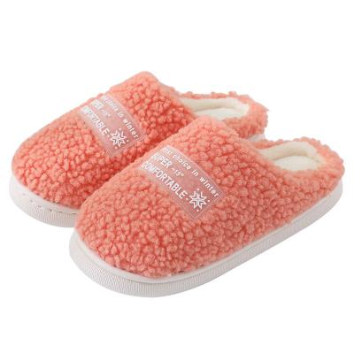 China 2022 Winter New Trend Fashion Bedroom Cotton Colorful Plush Slippers Indoor Flat Warm Shoes Slippers For Women for sale