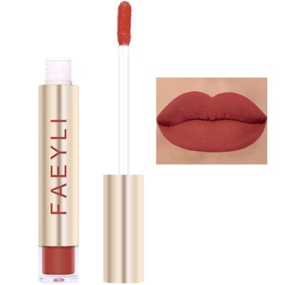 China FAEYIL Waterproof Full Color Liquid Lip Glaze Long Lasting Waterproof and Non-fading Matte Lip Gloss for sale