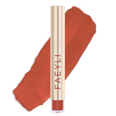 China FAEYLI Waterproof nude velvet lip gloss tube matte lip gloss lipstick for sale