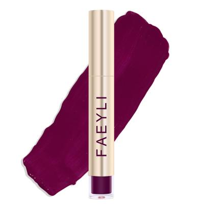 China New FAEYIL Waterproof Makeup Lip Gloss Hold Color Lip Gloss for sale