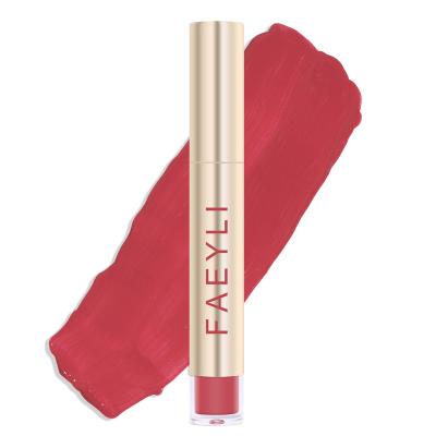 China Waterproof Velvet Matte Waterproof Nonstick Lip Gloss by FAEYILMatte for sale