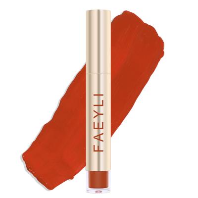 China New FAEYIL Lip Gloss Waterproof Long Lasting Lipstick for sale