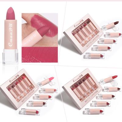 China Cmaadu Waterproof Matte Lipstick 5 Pack Waterproof Matte Lip Gloss for sale