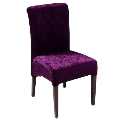 China Purple/Black/Contemporary Brown/Blue Hotel Chairs Manufacturers for sale