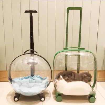 China Yzora Stocked 2021 Newly Design 4 Wheel Clear Transparent Large Cat Kitty Dogs Travel Backpack Pet Trolley Crate Carrier for sale