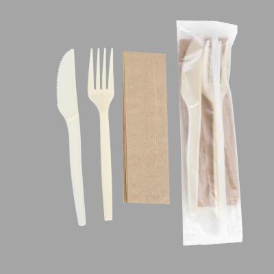 China Quanhua Non-GMO ECO Source OEM ODM TUV Disposable Spoon Cornstarch PSM Disposable Cutlery for sale