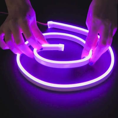 China High quality hotel landscape garden residential newcomer neon lights strip, led strip light 5050, RGB strip light for sale